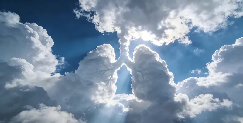 遵义肺癌靶向39基因检测及PDL122C3表达检测套餐（组织）图片1