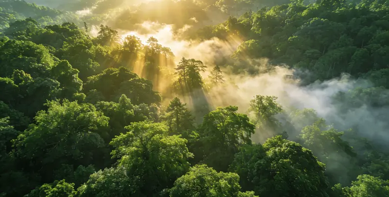 遵义肺癌172基因检测图片1