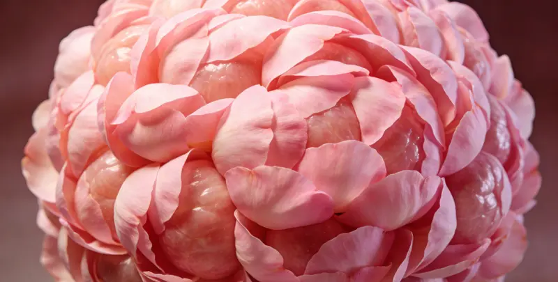 遵义BRCA1/2乳腺癌卵巢癌基因检测图片1